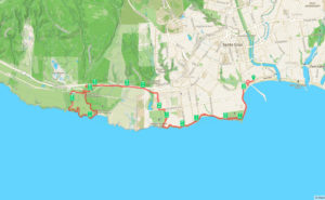 Santa Cruz Half Marathon Map